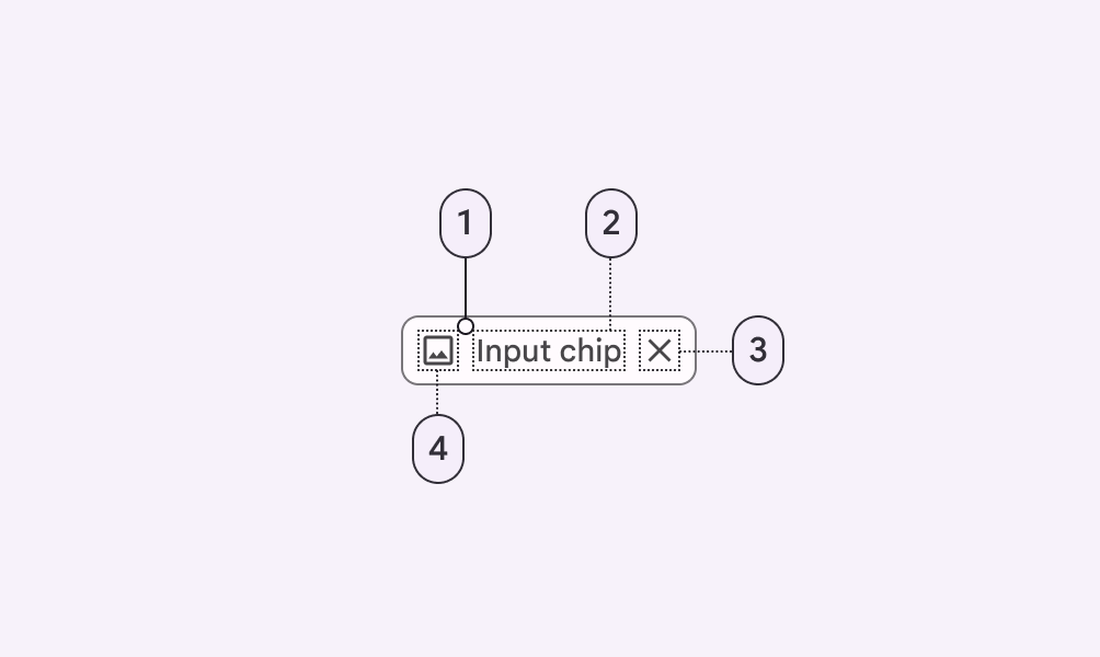 Chip anatomy diagram